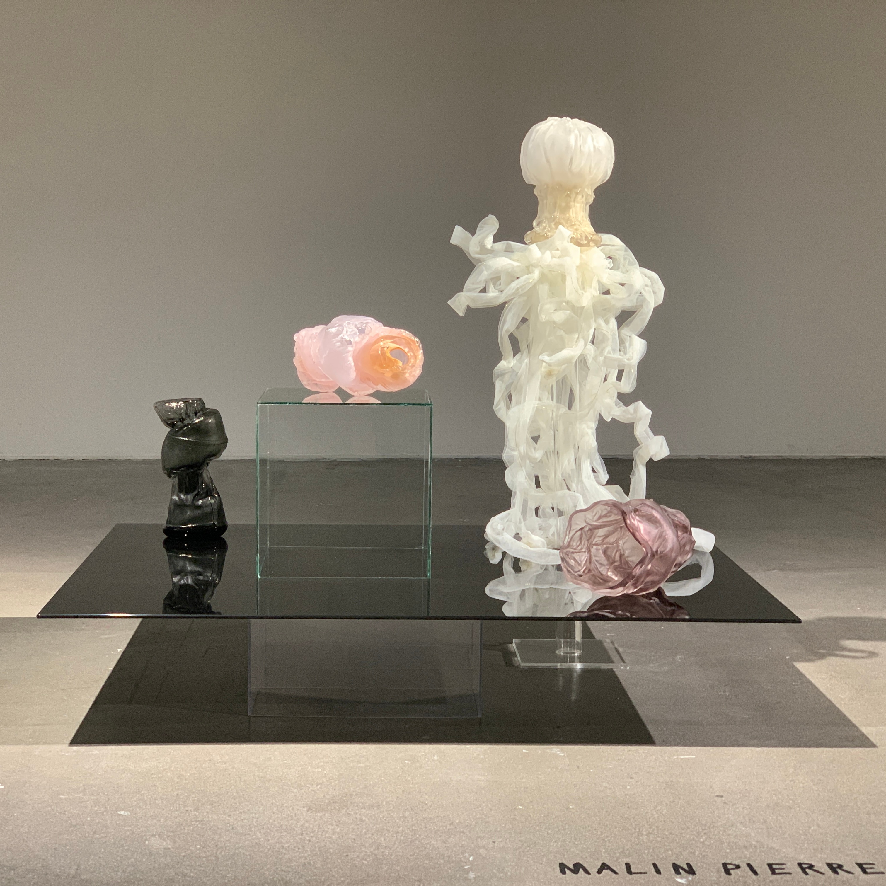 Four glass works on a black glass platform in a grey gallery: a glossy black twisted form, a pink and amber coil on a glass cube, a white glass head with tulle ribbons and a mauve form.