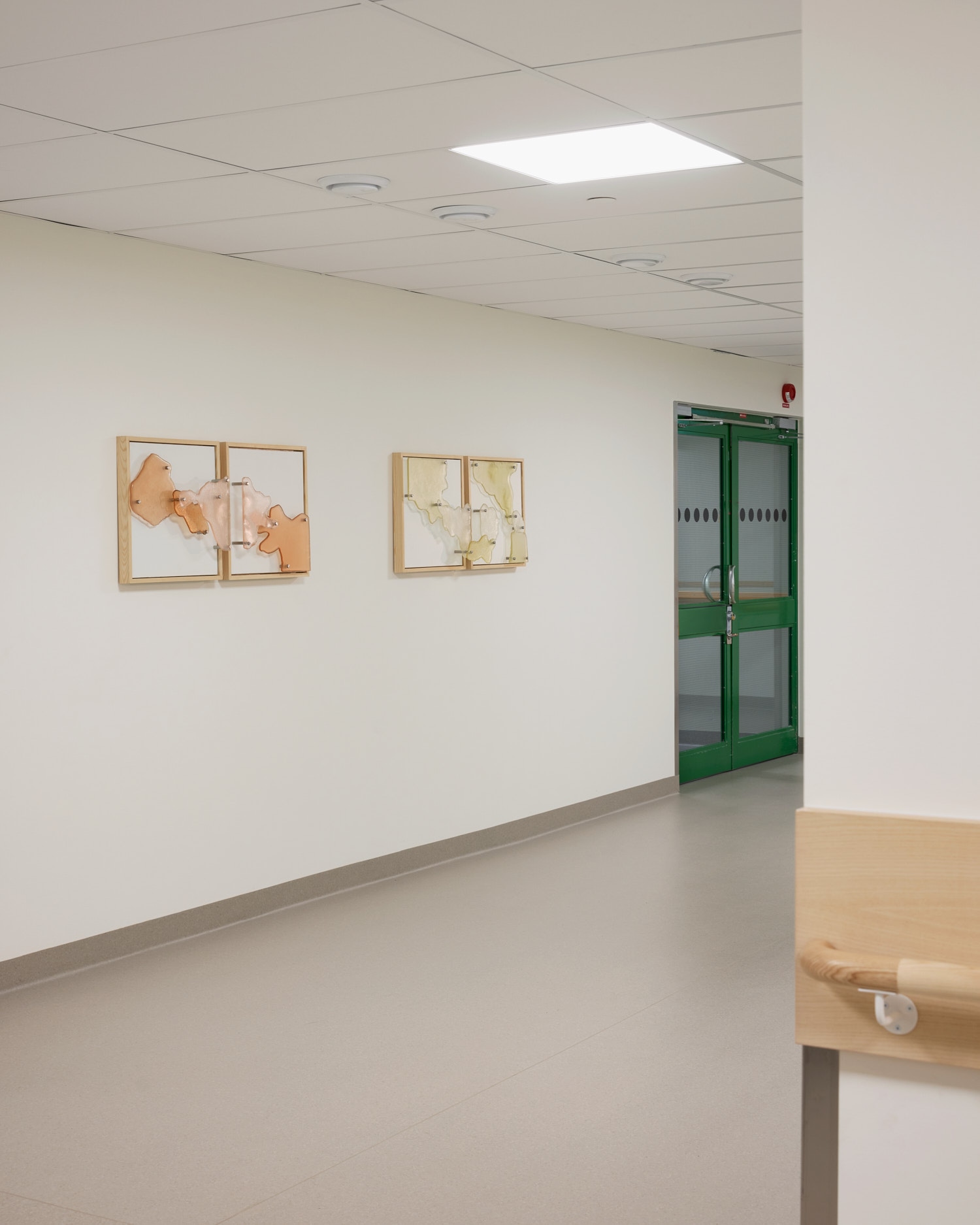 Two framed pairs of glass wall pieces in a hospital corridor: irregular, map-like glass shapes in peach and orange in one, pale yellow and cream in the other, pinned to white panels in light wooden frames.