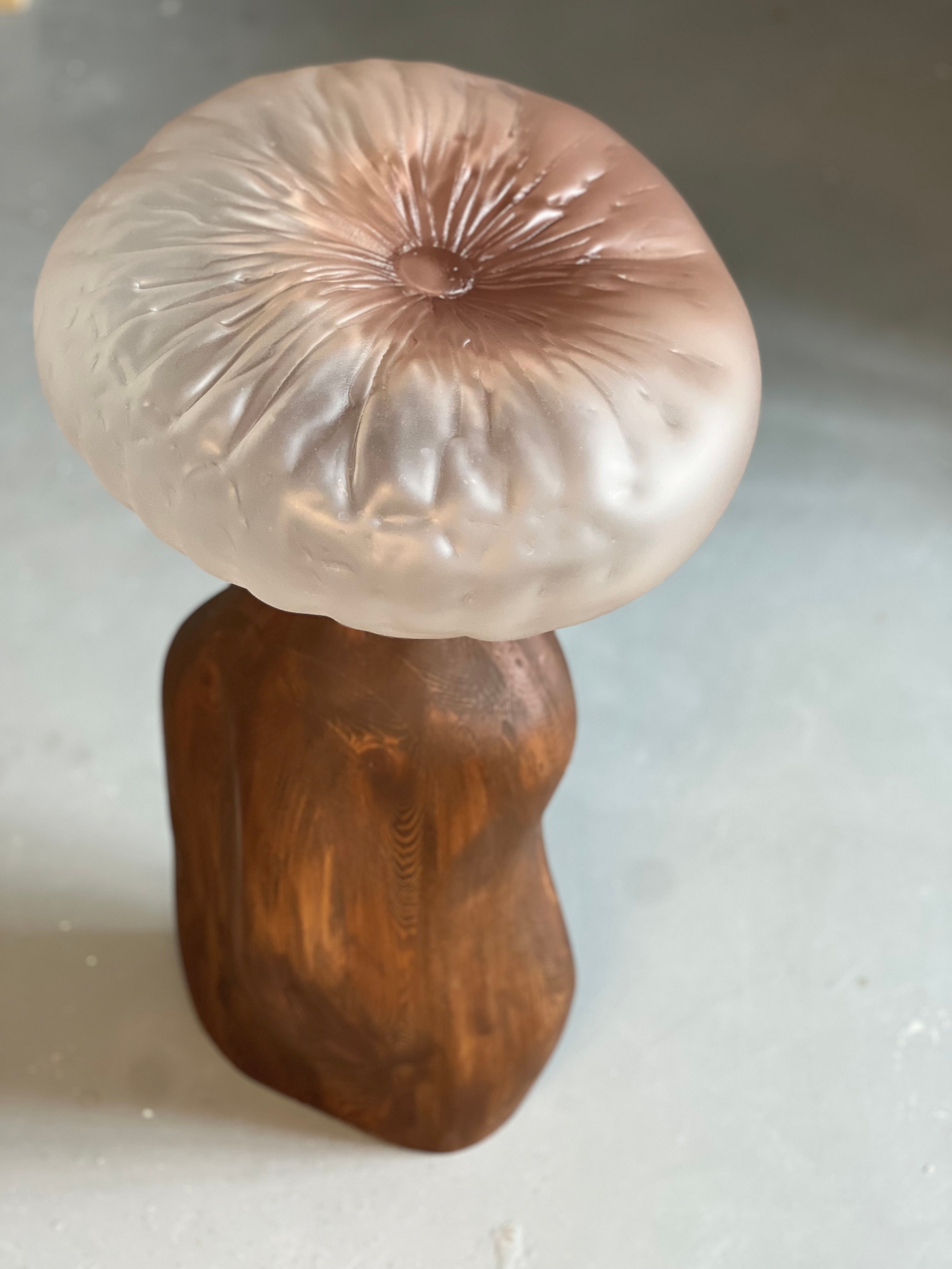 Seen from above, a frosted blush-pink glass cap with ribs radiating from a central dimple, resting on a turned warm-brown wooden stem with visible grain, on a pale grey floor.